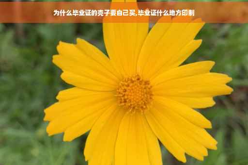 为什么毕业证的壳子要自己买,毕业证什么地方印制