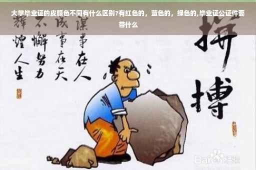 大学毕业证的皮颜色不同有什么区别?有红色的，蓝色的，绿色的,毕业证公证件要带什么