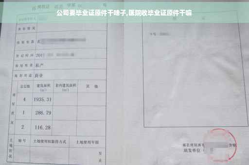 公司要毕业证原件干啥子,医院收毕业证原件干嘛