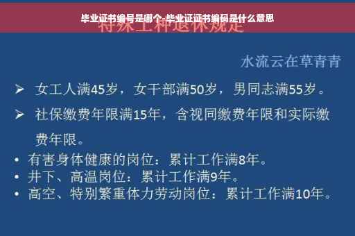毕业证书编号是哪个-毕业证证书编码是什么意思