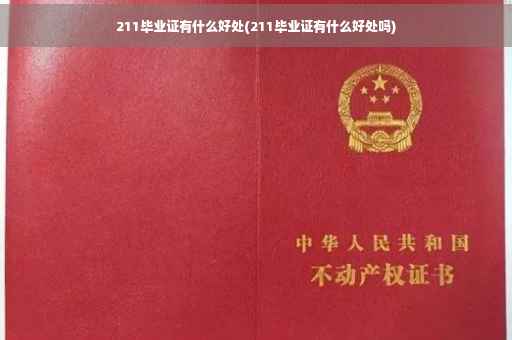 211毕业证有什么好处(211毕业证有什么好处吗)