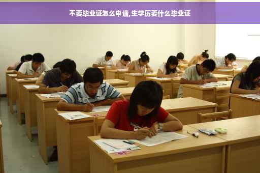 不要毕业证怎么申请,生学历要什么毕业证