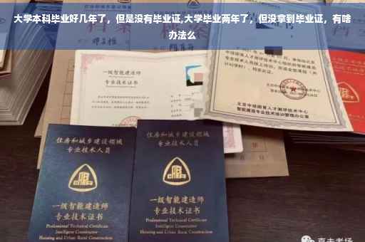 大学本科毕业好几年了，但是没有毕业证,大学毕业两年了，但没拿到毕业证，有啥办法么