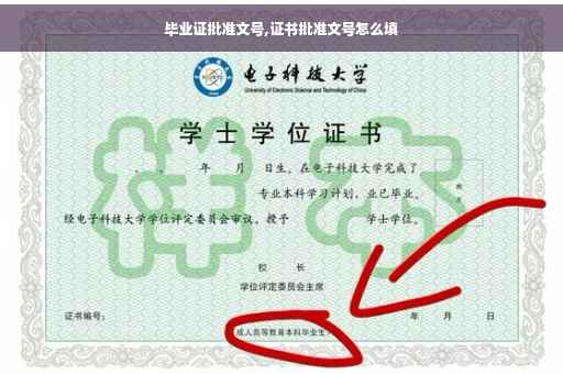 毕业证批准文号,证书批准文号怎么填