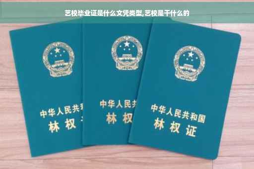 艺校毕业证是什么文凭类型,艺校是干什么的