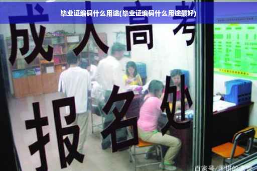 毕业证编码什么用途(毕业证编码什么用途最好)