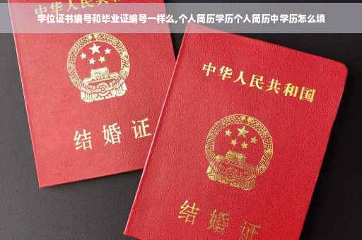 学位证书编号和毕业证编号一样么,个人简历学历个人简历中学历怎么填