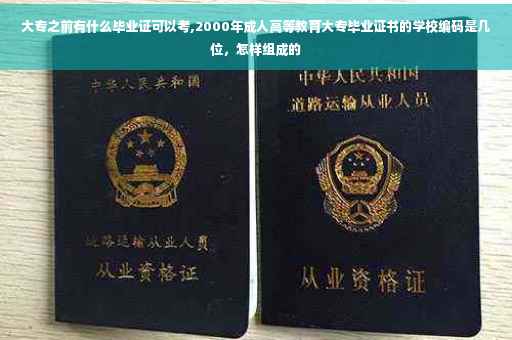大专之前有什么毕业证可以考,2000年成人高等教育大专毕业证书的学校编码是几位，怎样组成的