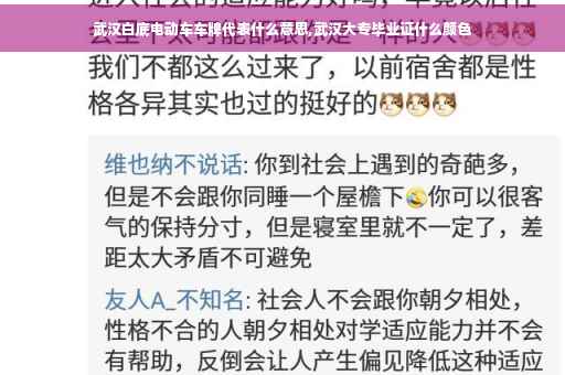 武汉白底电动车车牌代表什么意思,武汉大专毕业证什么颜色