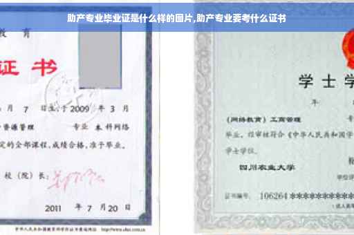 助产专业毕业证是什么样的图片,助产专业要考什么证书