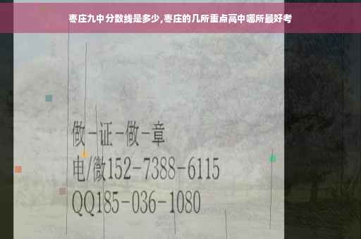 枣庄九中分数线是多少,枣庄的几所重点高中哪所最好考