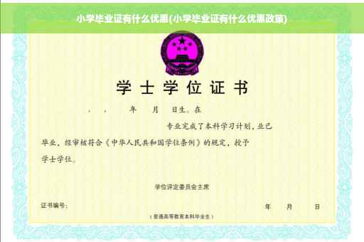 小学毕业证有什么优惠(小学毕业证有什么优惠政策)