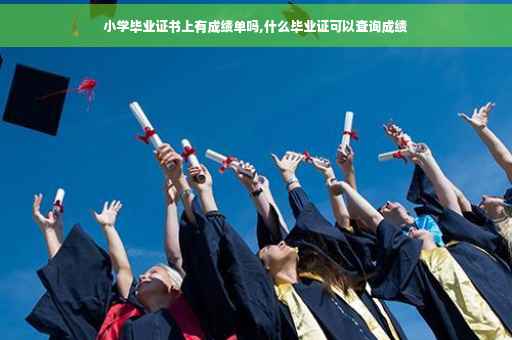 小学毕业证书上有成绩单吗,什么毕业证可以查询成绩