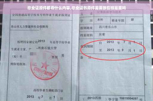 毕业证原件都看什么内容,毕业证书原件需要放在档案里吗