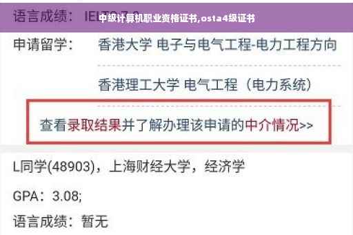 中级计算机职业资格证书,osta4级证书