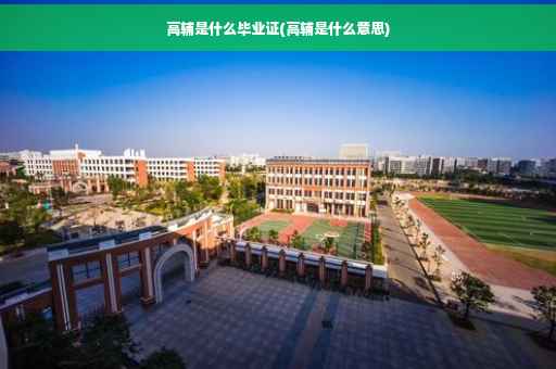 高辅是什么毕业证(高辅是什么意思)