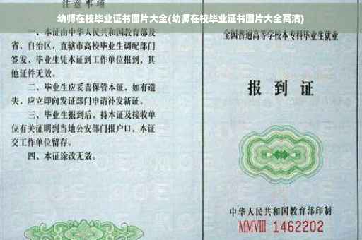 幼师在校毕业证书图片大全(幼师在校毕业证书图片大全高清)