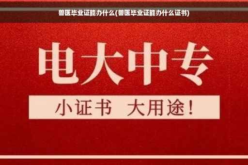 兽医毕业证能办什么(兽医毕业证能办什么证书)