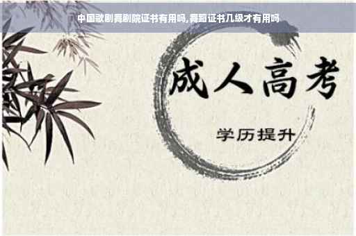 中国歌剧舞剧院证书有用吗,舞蹈证书几级才有用吗