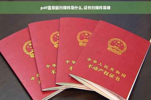 pdf盖章版扫描件是什么,证书扫描件是啥