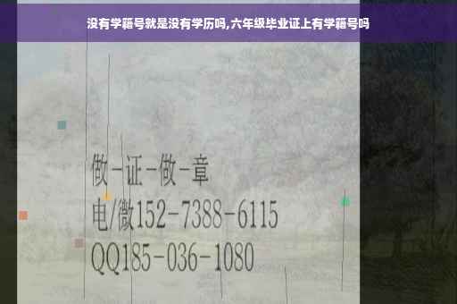 没有学籍号就是没有学历吗,六年级毕业证上有学籍号吗