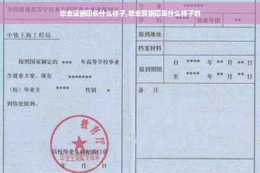 毕业证钢印长什么样子,毕业照钢印是什么样子的