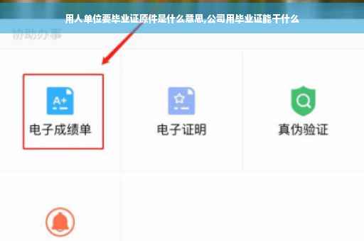 用人单位要毕业证原件是什么意思,公司用毕业证能干什么