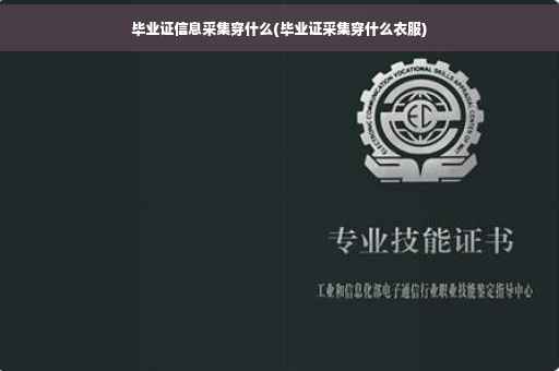 毕业证信息采集穿什么(毕业证采集穿什么衣服)