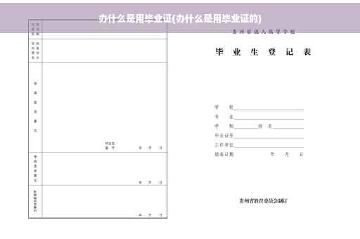 办什么是用毕业证(办什么是用毕业证的)