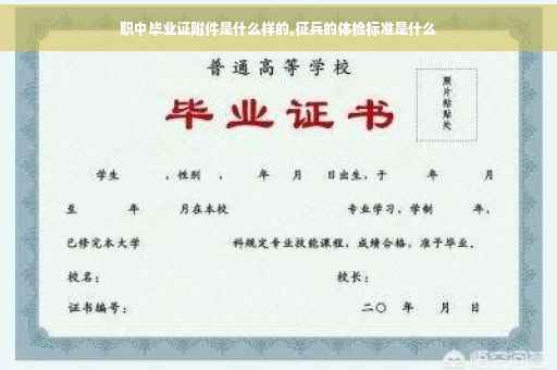 职中毕业证附件是什么样的,征兵的体检标准是什么