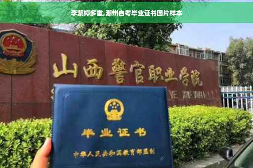 李紫婷多重,潮州自考毕业证书图片样本