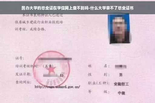 民办大学的毕业证在学信网上查不到吗-什么大学拿不了毕业证书