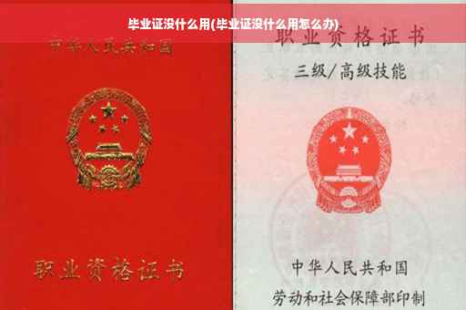 毕业证没什么用(毕业证没什么用怎么办)