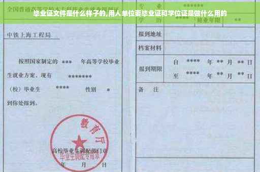 毕业证文件是什么样子的,用人单位要毕业证和学位证是做什么用的