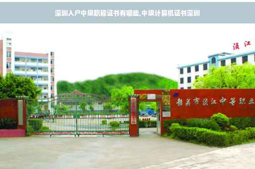 深圳入户中级职称证书有哪些,中级计算机证书深圳