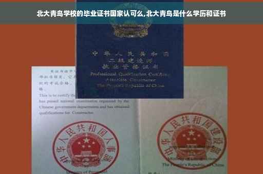 北大青鸟学校的毕业证书国家认可么,北大青鸟是什么学历和证书