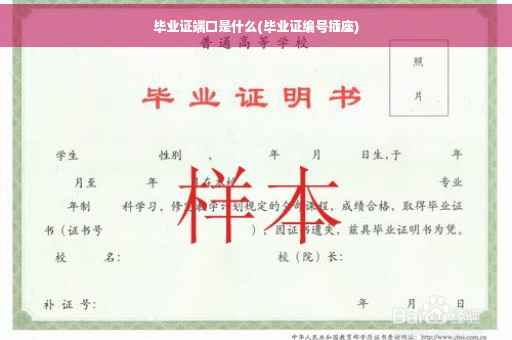 毕业证端口是什么(毕业证编号插座)