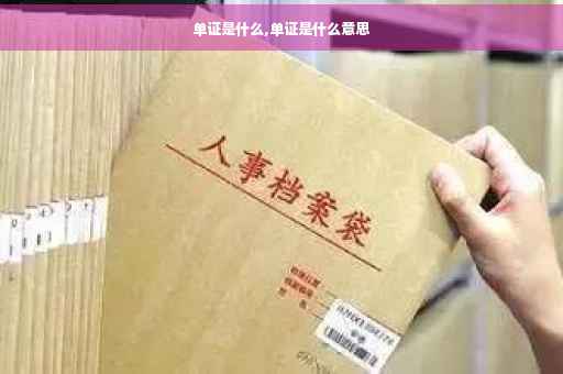 单证是什么,单证是什么意思