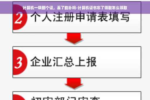 计算机一级那个证，丢了能补吗-计算机证书忘了领取怎么领取