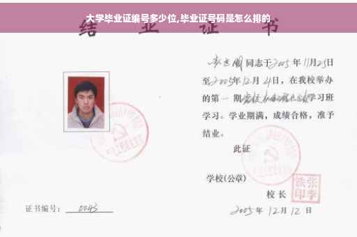 大学毕业证编号多少位,毕业证号码是怎么排的