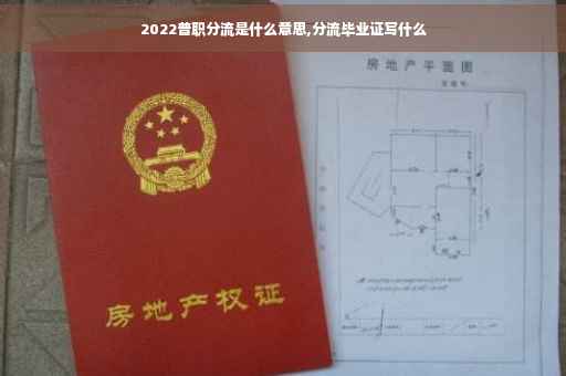 2022普职分流是什么意思,分流毕业证写什么
