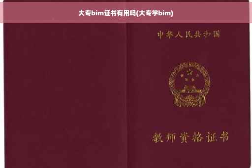 大专bim证书有用吗(大专学bim)