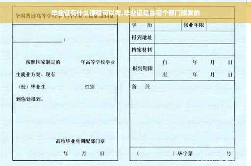 毕业证有什么课程可以考,毕业证是由哪个部门颁发的