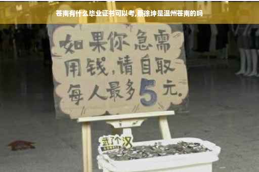 苍南有什么毕业证书可以考,蔡徐坤是温州苍南的吗
