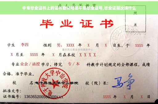 中专毕业证书上的证书登记号是不是毕业证号,毕业证层次填什么