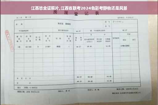 江西毕业证照片,江西省联考2024色彩考静物还是风景