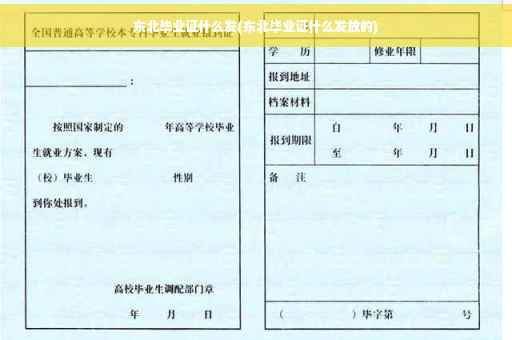 东北毕业证什么发(东北毕业证什么发放的)