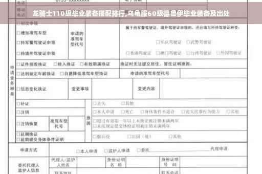 龙骑士110级毕业装备搭配排行,乌龟服60级德鲁伊毕业装备及出处