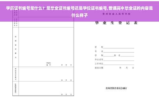 学历证书编号是什么？是毕业证书编号还是学位证书编号,普通高中毕业证的内容是什么样子