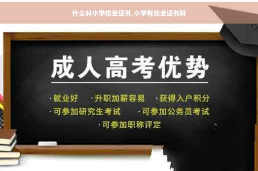 什么叫小学毕业证书,小学有毕业证书吗